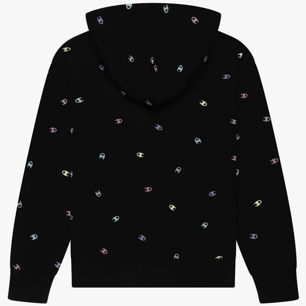 Champion hoodie hooded sweatshirt